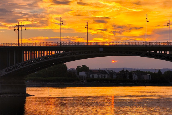 Mainz Stadtführung Theodor-Heuss-Brücke WineWalk