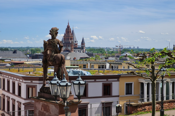 Mainz Stadtführung Kästrich Sankt Martin