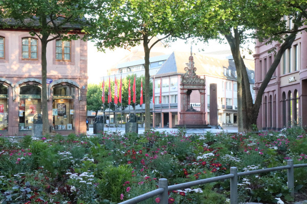 Mainz Marktplatz Stadtführung Private Führung Weintasting Winetasting Weinprobe