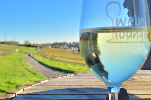 Weintour Weinbergstour Weinbergswanderung