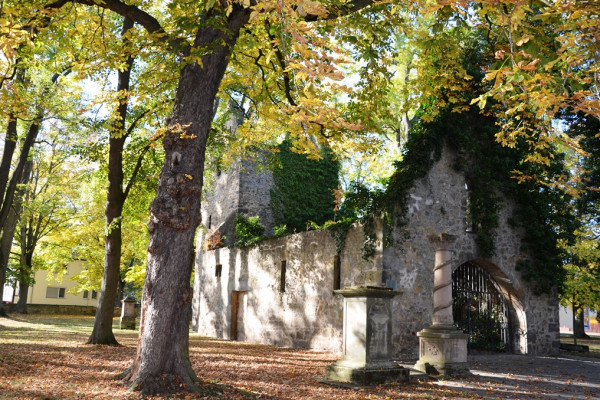 Vöppstedter Ruine in Salzgitter-Bad. Foto: Tourist-Information