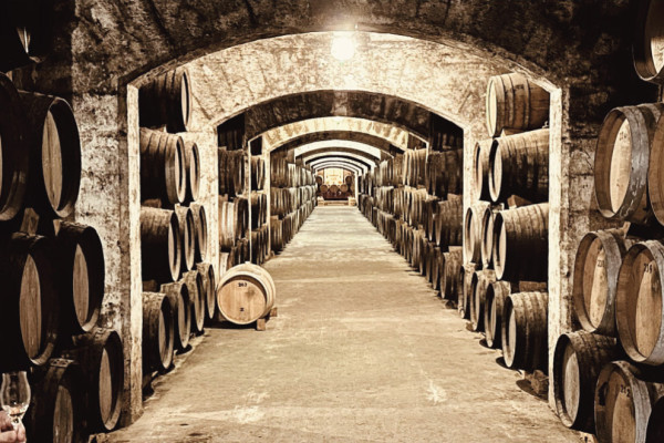 Bodega Mallorca Suau Weinkellerei und Brennerei Historischer Keller, Fässer sind ausgerichtet und bereit für Verkostungen. Bodega Mallorca Premium Spirituosen Verkostungen.