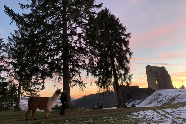 Glühweinwanderung zur Burgruine Schönecken