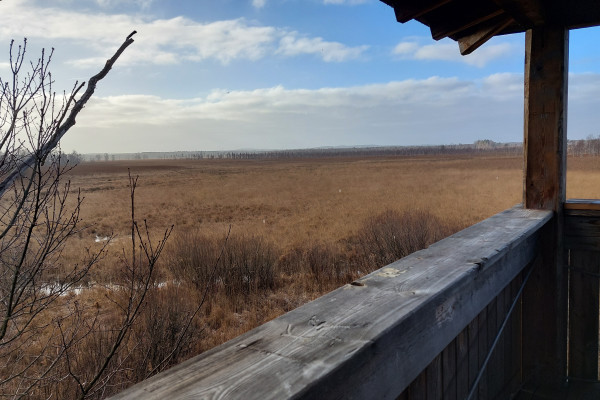 Aussichtspunkt Dubringer Moor