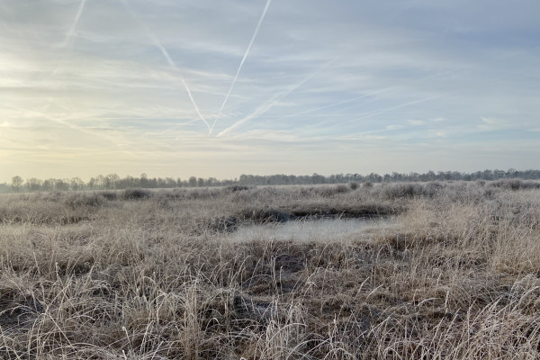 Winterstimmung im Ahlenmoor