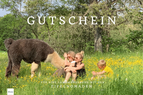 Gutschein Familien Lamawanderung Alpakawanderung