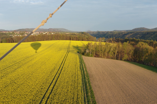 Ballonschatten über blühendem Rapsfeld