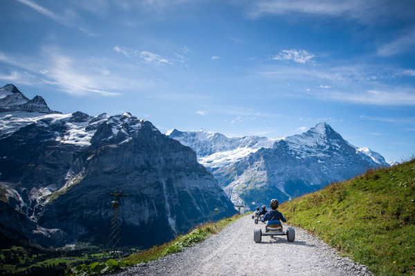 Mountain Cart