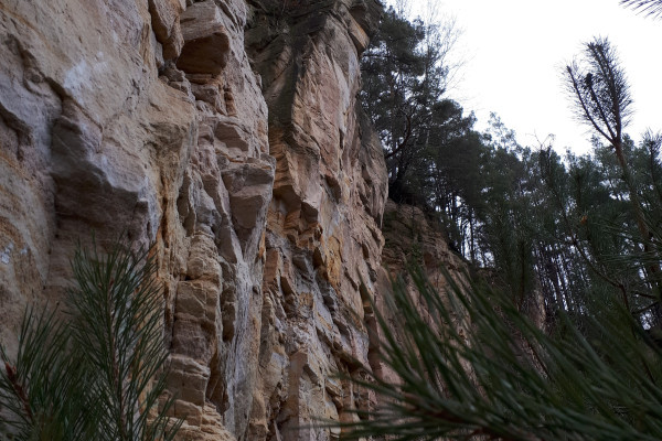 Erdgeschichte (Bild: Katja Klages, ccby Naturpark Habichtswald)