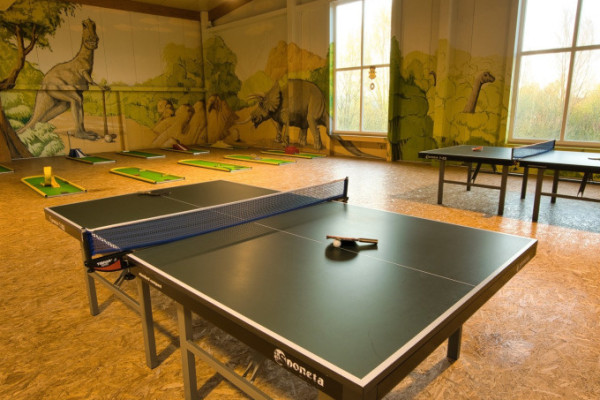 Tischtennis Tischtennis