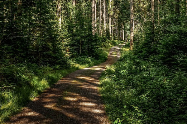 Tut das gut, hier zu sein! Es ist so herrlich schön hier.