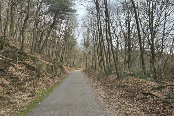 Sambatrasse