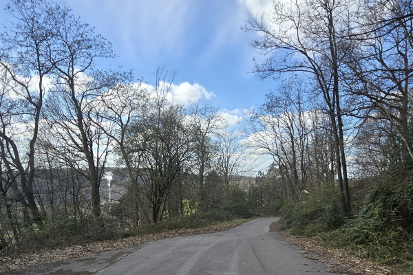 Arboretum Buchholz