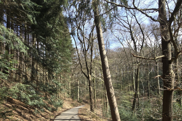 Arboretum Buchholz
