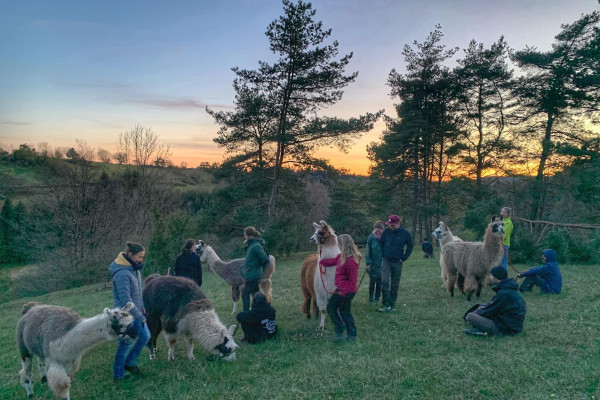 Sommersonnenwende Wanderung mit Lamas