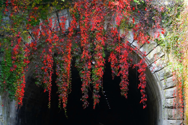 Eisenbahntunnel in der Promenade