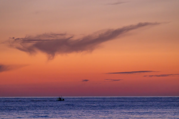 Sonnenuntergang über dem Meer mit Wal Wolke