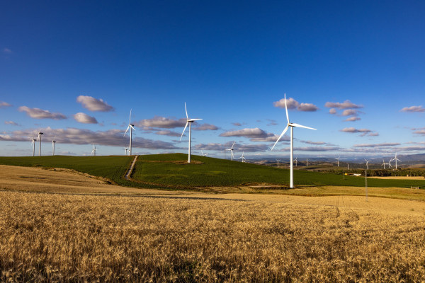 Windräder im Hinterland