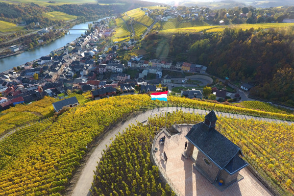 Wormer Koeppchen, Moselle Luxembourg