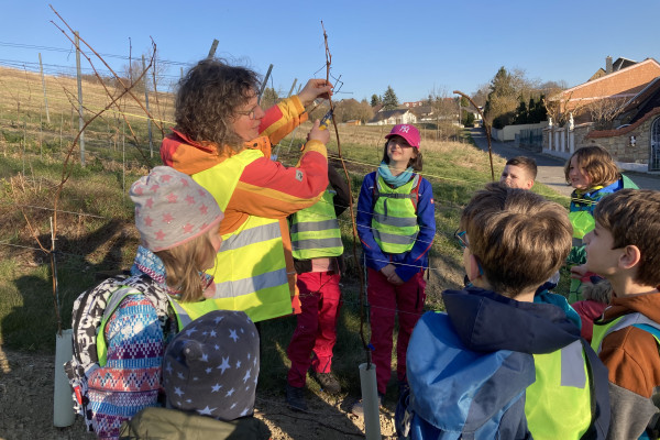 Kinderwingert Schneiden