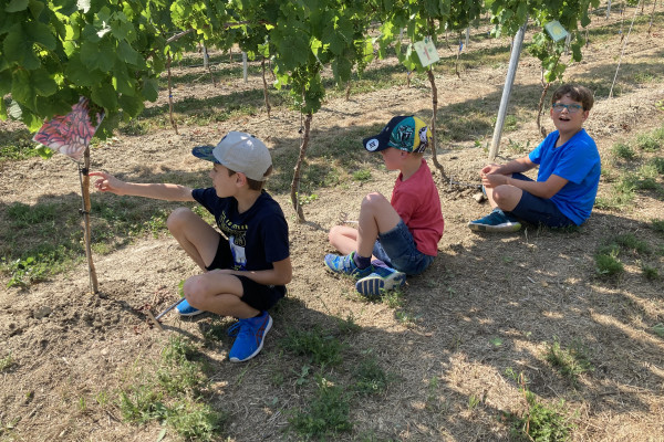 Kinderwingert Ausbrechen