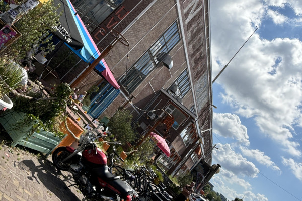 HERZBLUT AMSTERDAM-Stadtführungen mit Herz & Seele! Fahrradtour Amsterdam Noord/ Deiche/ NDSM Kulturwerft/ Schwimmende Villen/ park/ Anne Frank/ Streetart/ Park/ Industriedenkmal NDSM/ Straat Museum/ Deichhäuser/Architektur/ Wasser