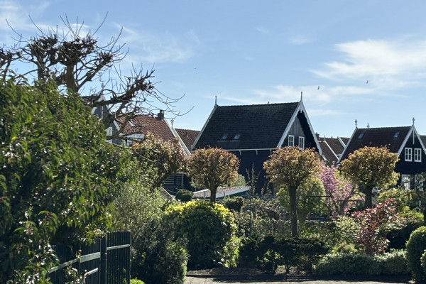 HERZBLUT AMSTERDAM-Stadtführungen mit Herz & Seele! Fahrradtour Amsterdam Noord/ Deiche/ NDSM Kulturwerft/ Schwimmende Villen/ park/ Anne Frank/ Streetart/ Park/ Industriedenkmal NDSM/ Straat Museum/ Deichhäuser/Architektur/ Wasser