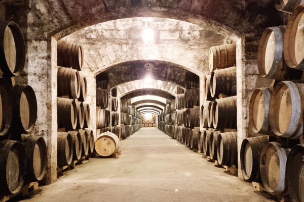Der jahrhundertealte Keller zeigt ausgerichtete Fässer, die bereit sind für die Verkostung von Brandy, Gin und Rum. Gourmet-Tapas werden perfekt zu jeder Spirituose serviert. Bodega Mallorca Premium Spirituosenverkostung. Das schönste und authentischste W