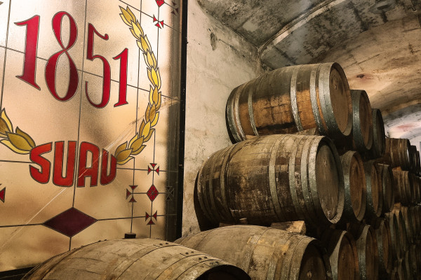 Kosten Sie Premium-Brandy, Gin und Rum mit Bodega Mallorca in einem jahrhundertealten Keller. Kosten Sie Mallorca mit den besten Erlebnissen in Palma. Entdecken Sie perfekte Kombinationen mit Gourmet-Tapas.

