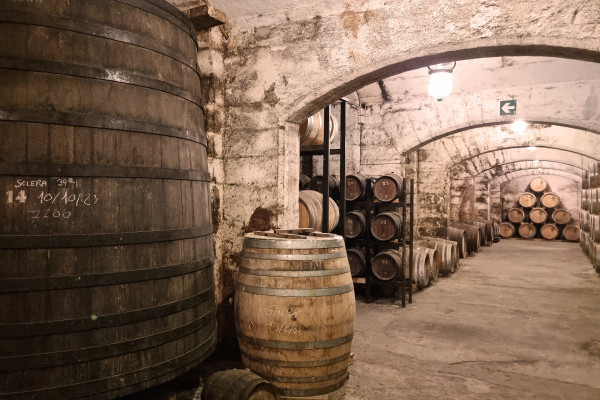 Bodega Mallorca Premium-Verkostungserlebnisse. Kosten Sie handgemachte Gourmet-Tapas, die perfekt zu Ihrer außergewöhnlichen Verkostung von 15, 25 und dem seltenen 50 Jahre alten Brandy, der aus dem Fass serviert wird, passen. Genießen Sie handgefertigten