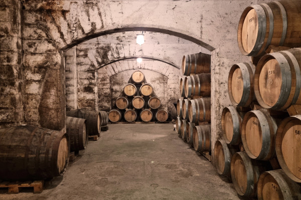 Bodega Mallorca Palma einzigartige Erlebnisse und Aktivitäten. Entdecken Sie das schönste Weingut Mallorcas. Eine ideale Tour für Freunde, Paare, Gruppen, Weinliebhaber, Enthusiasten, Experten oder Anfänger, die Brandy-Spirituosen direkt aus dem Fass prob