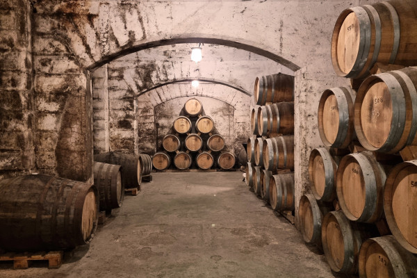 Bodega Mallorca Palma einzigartige Erlebnisse und Aktivitäten. Entdecken Sie das schönste Weingut Mallorcas. Eine ideale Tour für Freunde, Paare, Gruppen, Weinliebhaber, Enthusiasten, Experten oder Anfänger, die Brandy-Spirituosen direkt aus dem Fass prob