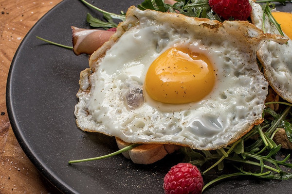 Brunch & Buddies Stammer Max 2.0