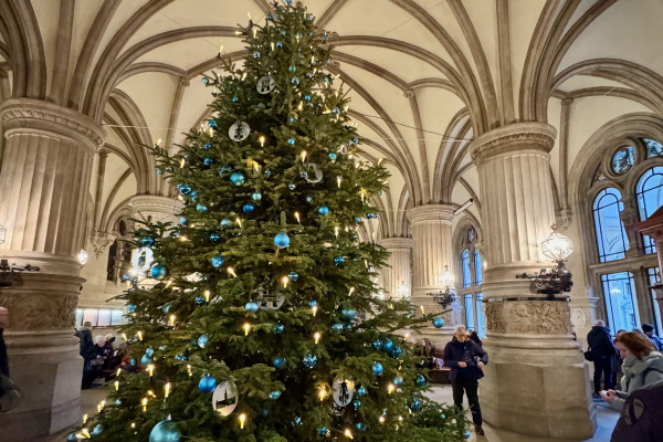 Der große Weihnachtsbaum im Foyer des Hamburger Rathauses