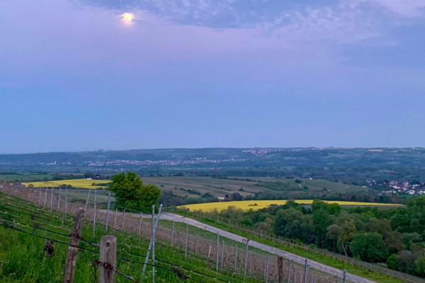 Ausblick vom Hendelberg