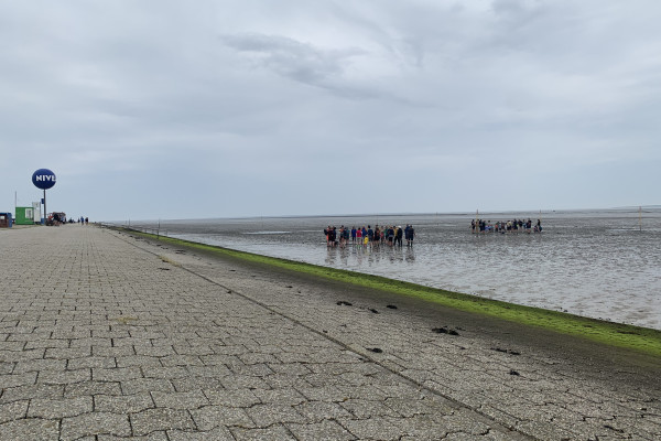 Wattführung in Dornumersiel, zwei Gruppen sind im Watt (Foto: S. Baehler, NPH Dornumersiel)