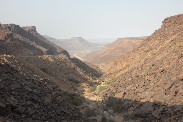 Landschaft im Adrar