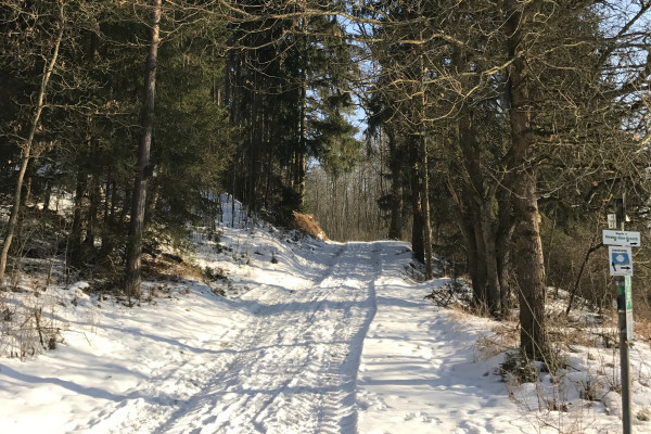 Winter im Hirschwald (c) Isabel Lautenschlager