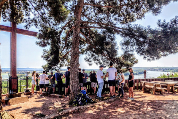 Verkostung im Weinberg