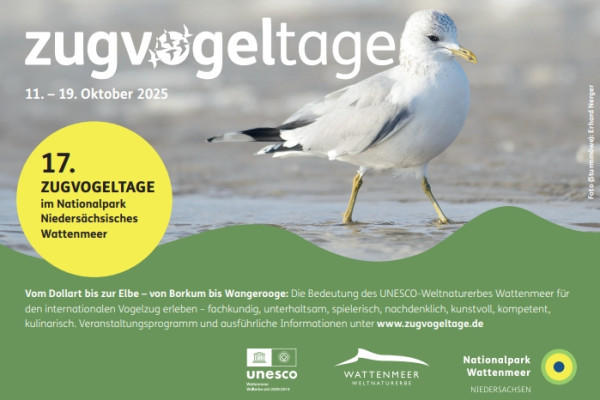 17. Zugvogeltage im Nationalpark Niedersächsisches Wattenmeer