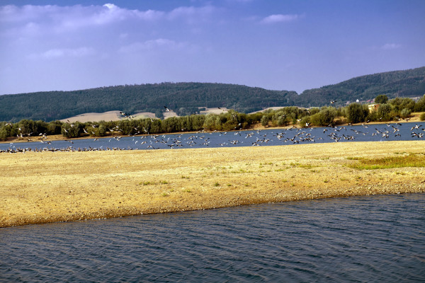 Auenlandschaft Hohenrode