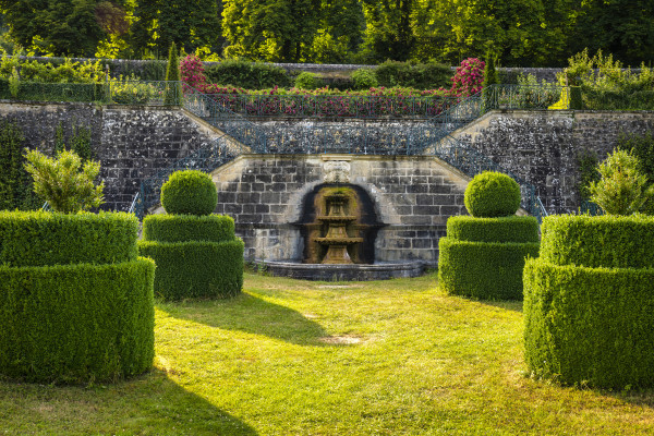 © LFT Alfonso Salgueiro