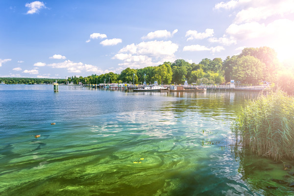 Wannsee Wannsee