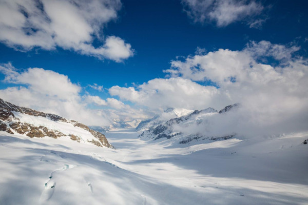 Sicht auf den Aletsch Gletscher
