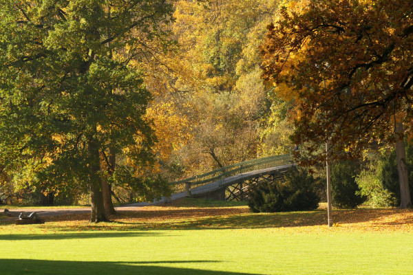 Beginn der Brahmsführung über die malerische Bogenbrücke im Meininger Schlosspark