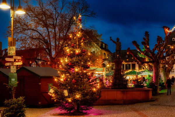 Cc by Marlis Steinmetz