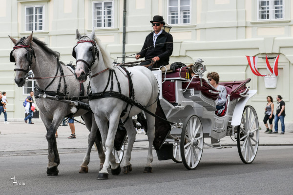 Wiener Traditionsbetrieb in der 3. Generation.