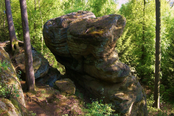 Riesenstein, Jürgen Depenbrock, ccby Naturpark Habichtswald