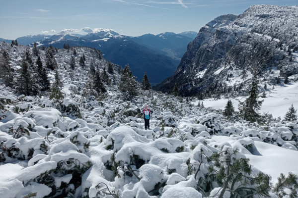Schneeschuhwandern