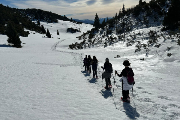 Schneeschuhwandern